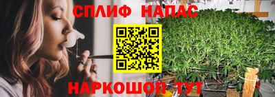 стафф Бузулук