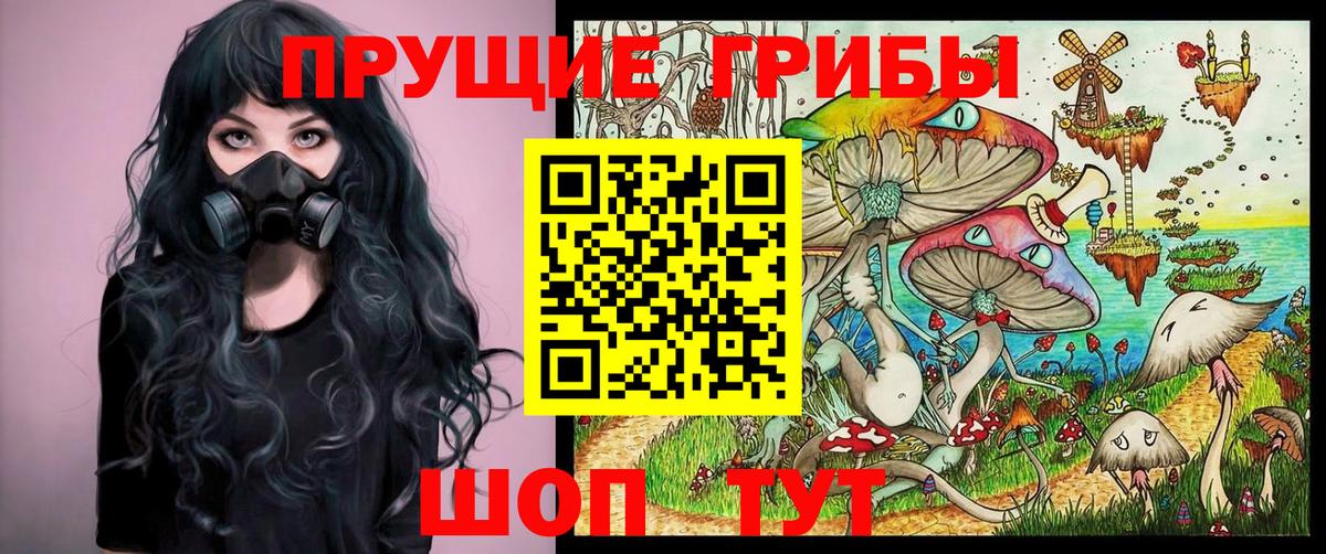 Галлюциногенные грибы Psilocybe  Галлюциногенные грибы Psilocybe  Полевской  Вход с VPN 