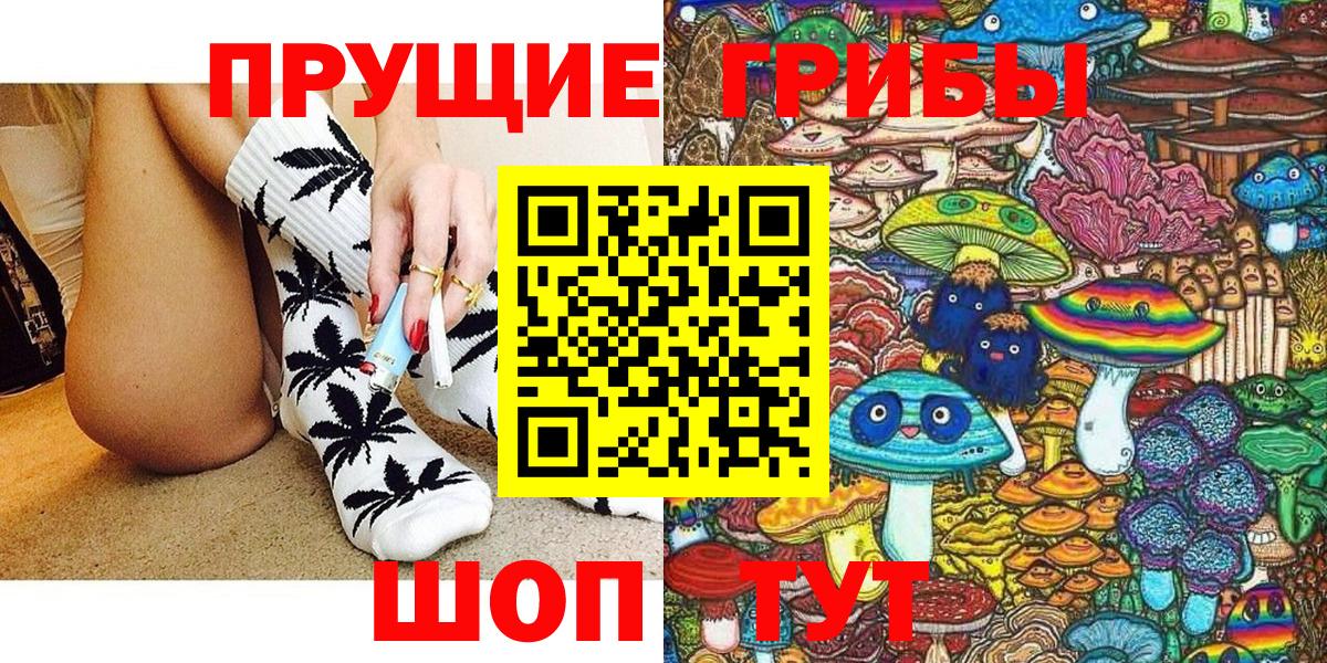 Галлюциногенные грибы Psilocybe Полевской